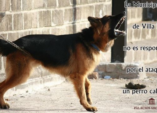 La Municipalidad de Villa María no es responsable por el ataque de un perro callejero