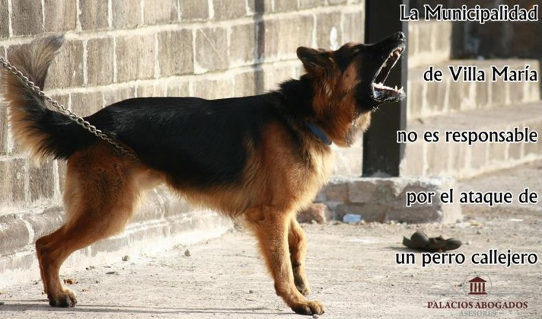 La Municipalidad de Villa María no es responsable por el ataque de un perro callejero